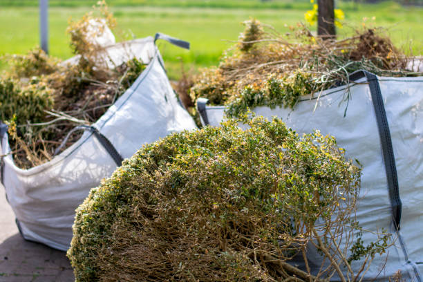Best Same-Day Junk Removal  in Shenandoah, TX